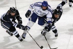 AYX体育-终极“绝杀”：“足球神兵”在欧冠的巅峰演出，足球神剧视频